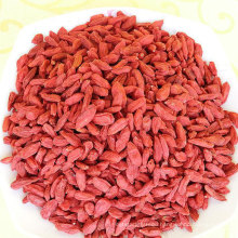 New crop low pesticide China Premium Quality Natural Dried Goji Red Goji Berry